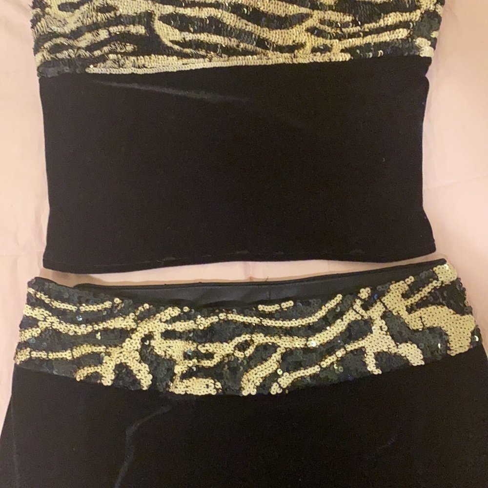 Sequins Skirt and Top w Velevet - Picture 5 of 17